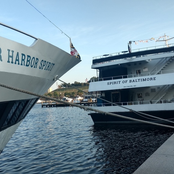 Meet your Posher, Lyn - Picture 6 of 10